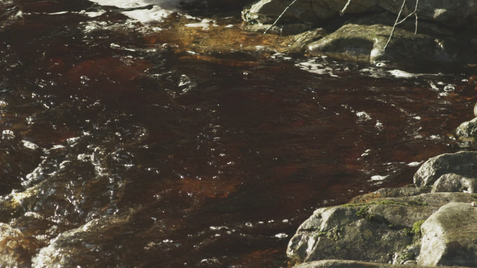 933355742 / Flowing Water / Stream / Norway
