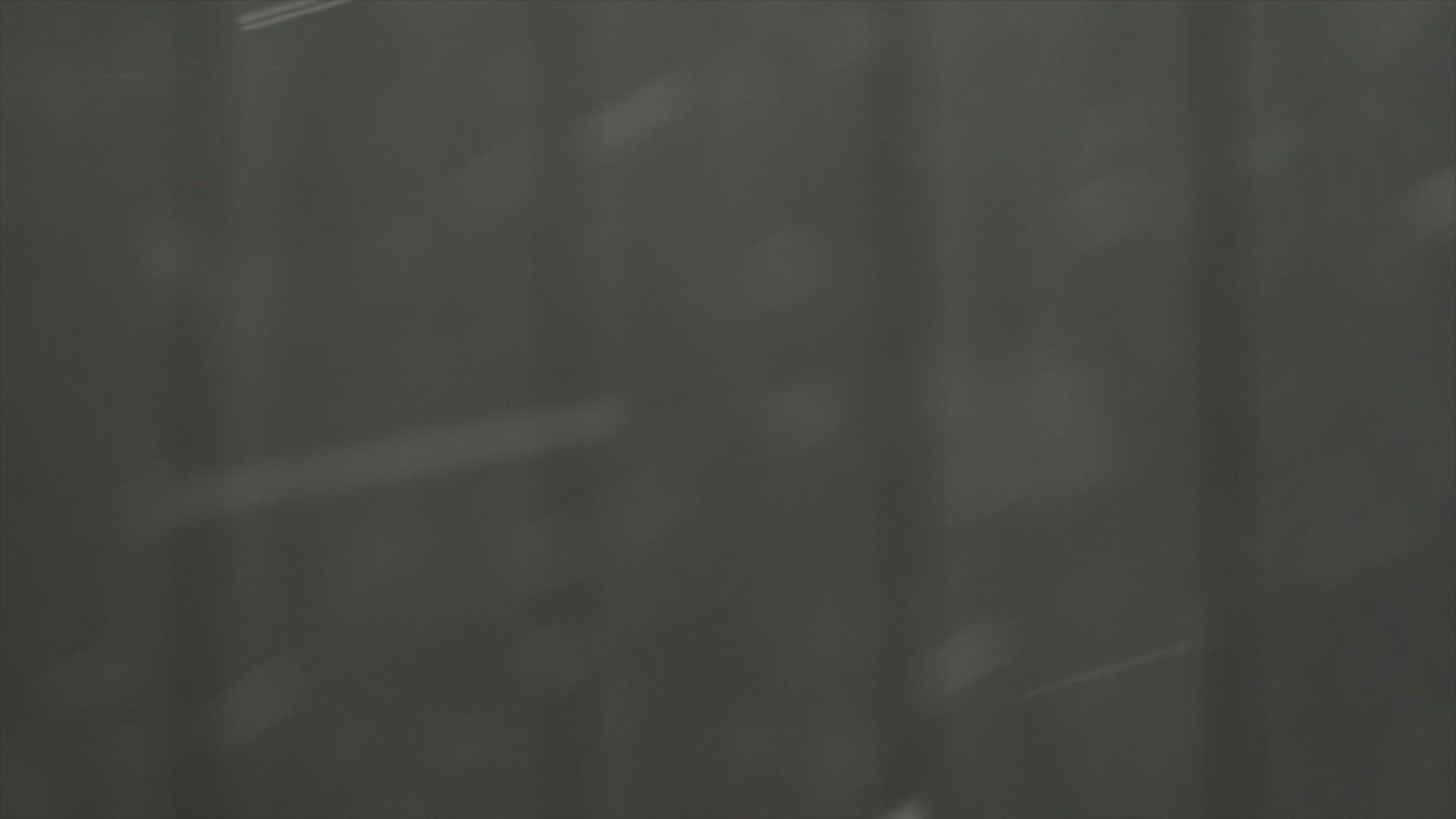 198964115 / Snowflake / Snowfall