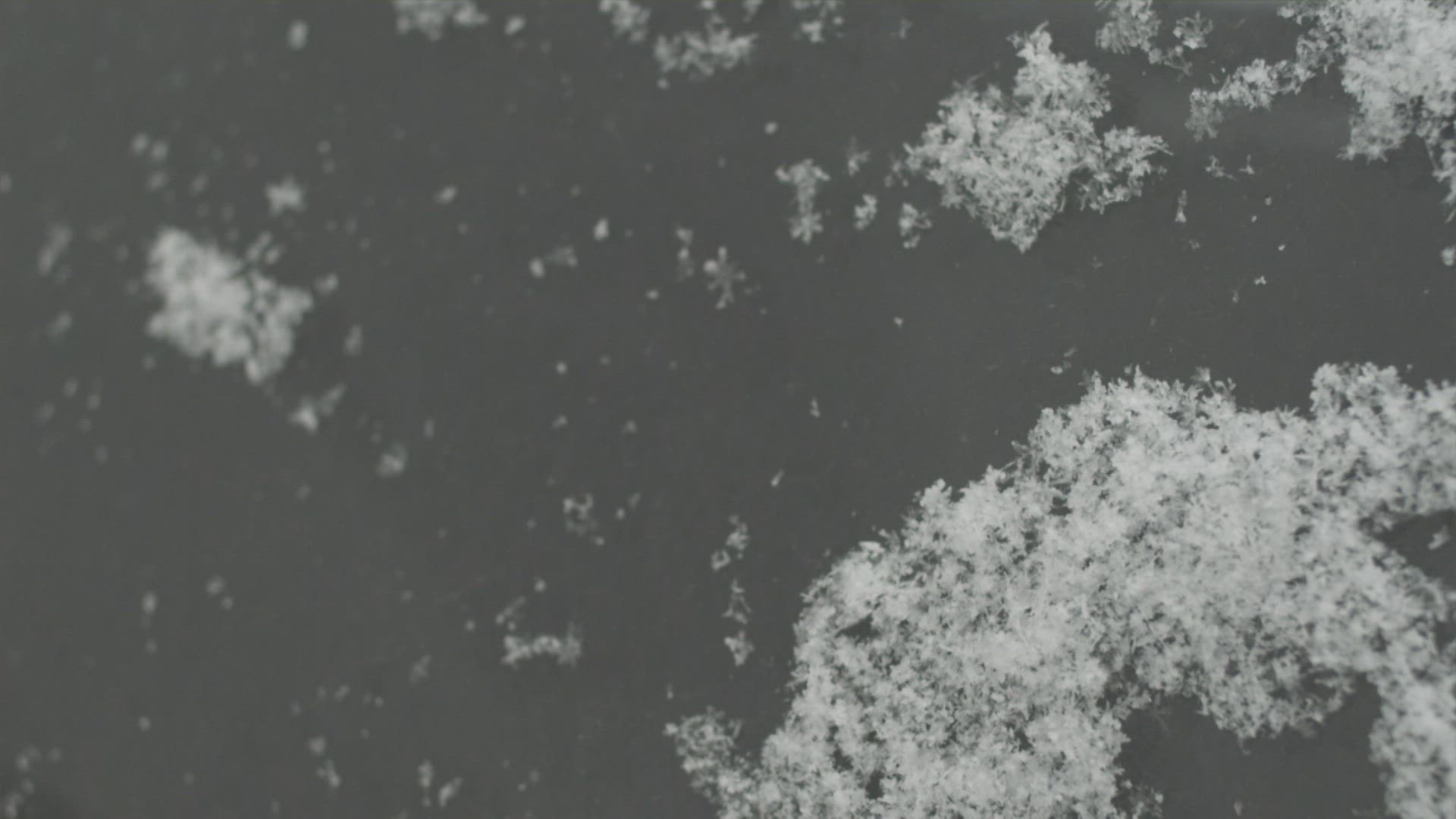 426775162 / Water Drop / Snowflake / Snow