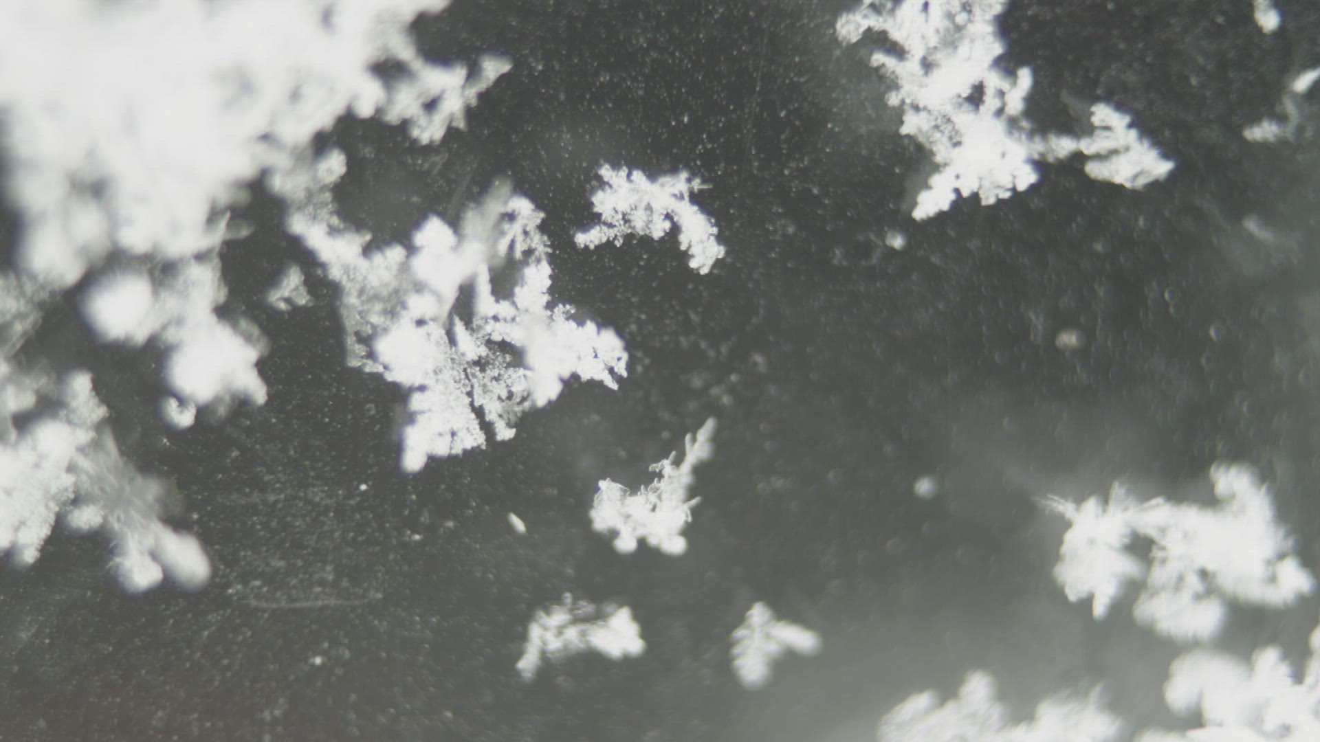 544883980 / Water Drop / Snowflake / Snow