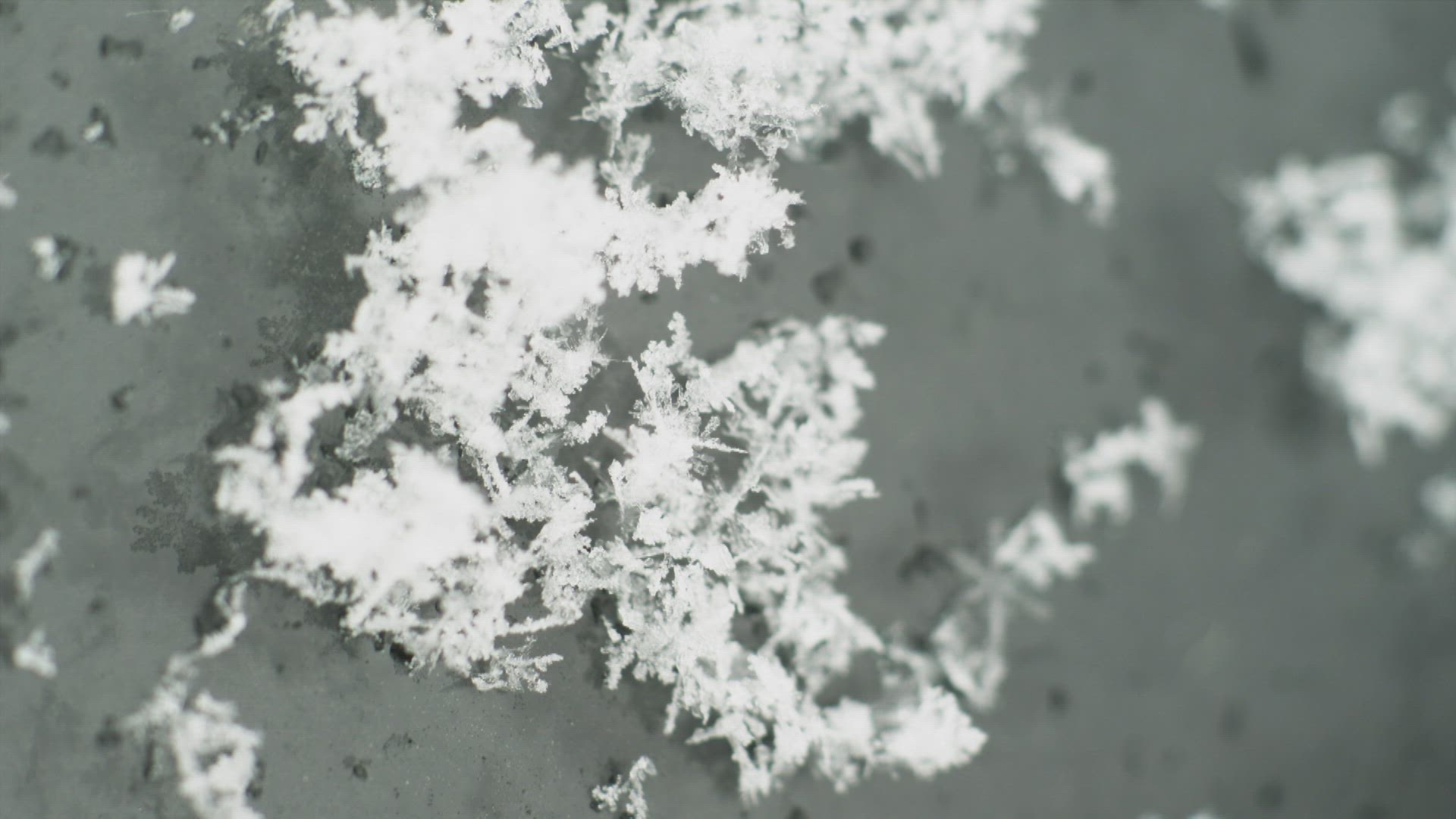 800630753 / Water Drop / Snowflake / Snow