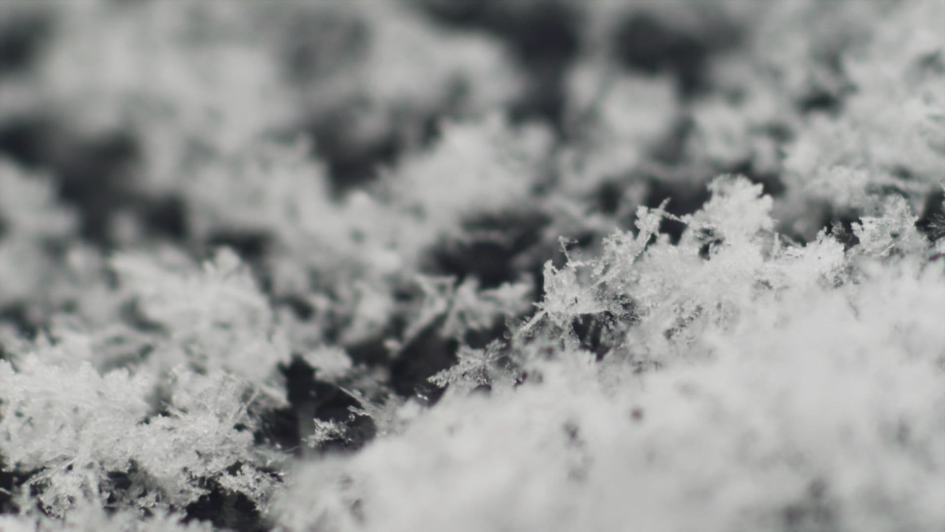 657840290 / Water Drop / Snowflake / Snow