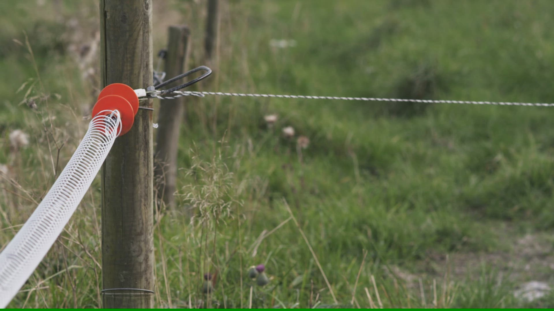 832546922 / Fence / Field / Norway