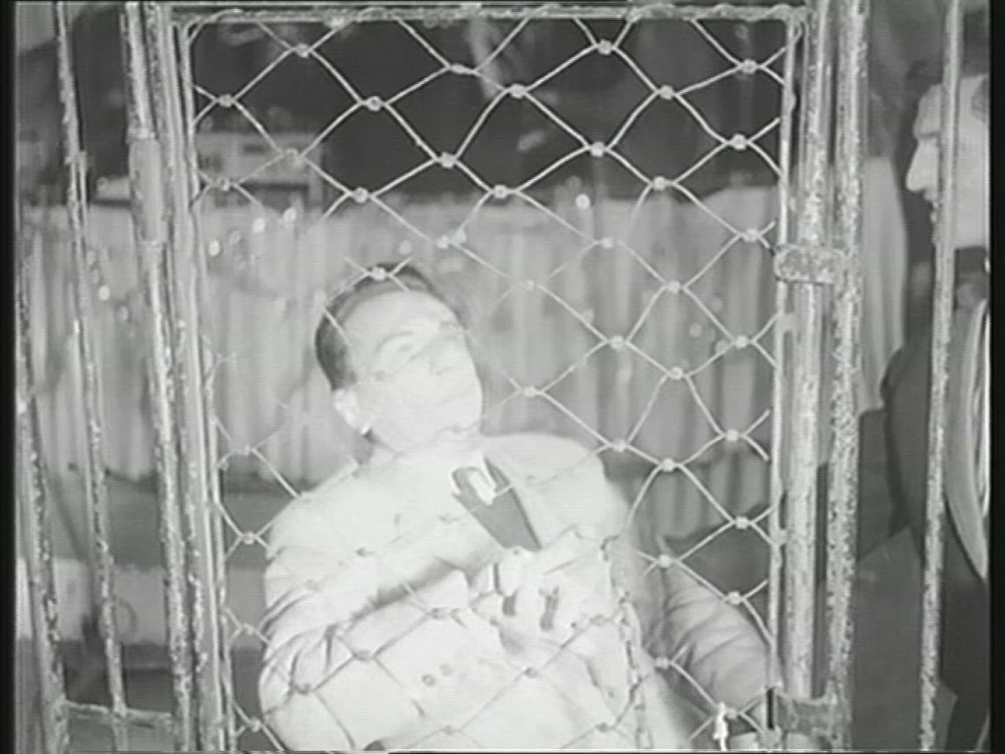 210582792 / Tamer / Circus / Italy / 1962