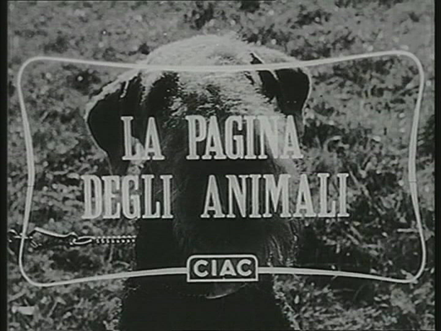 938621809 / Movie Title / Film / Italy / 1962