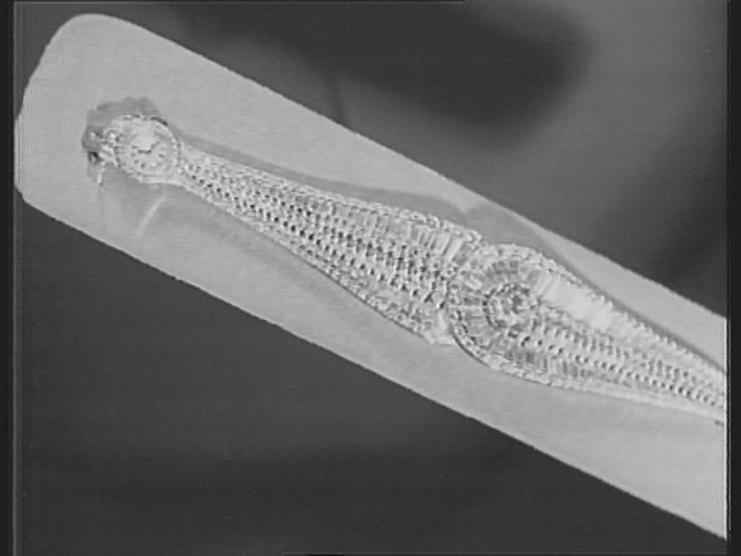 740872027 / Jewelry / Exhibition / Italy / 1959