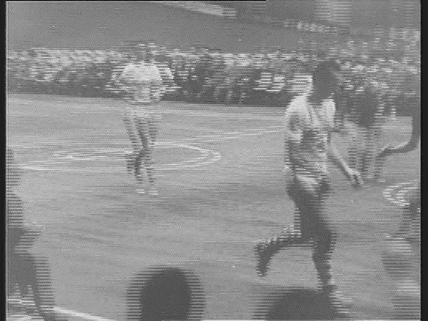 649808145 / Basketball / Italy / 1955
