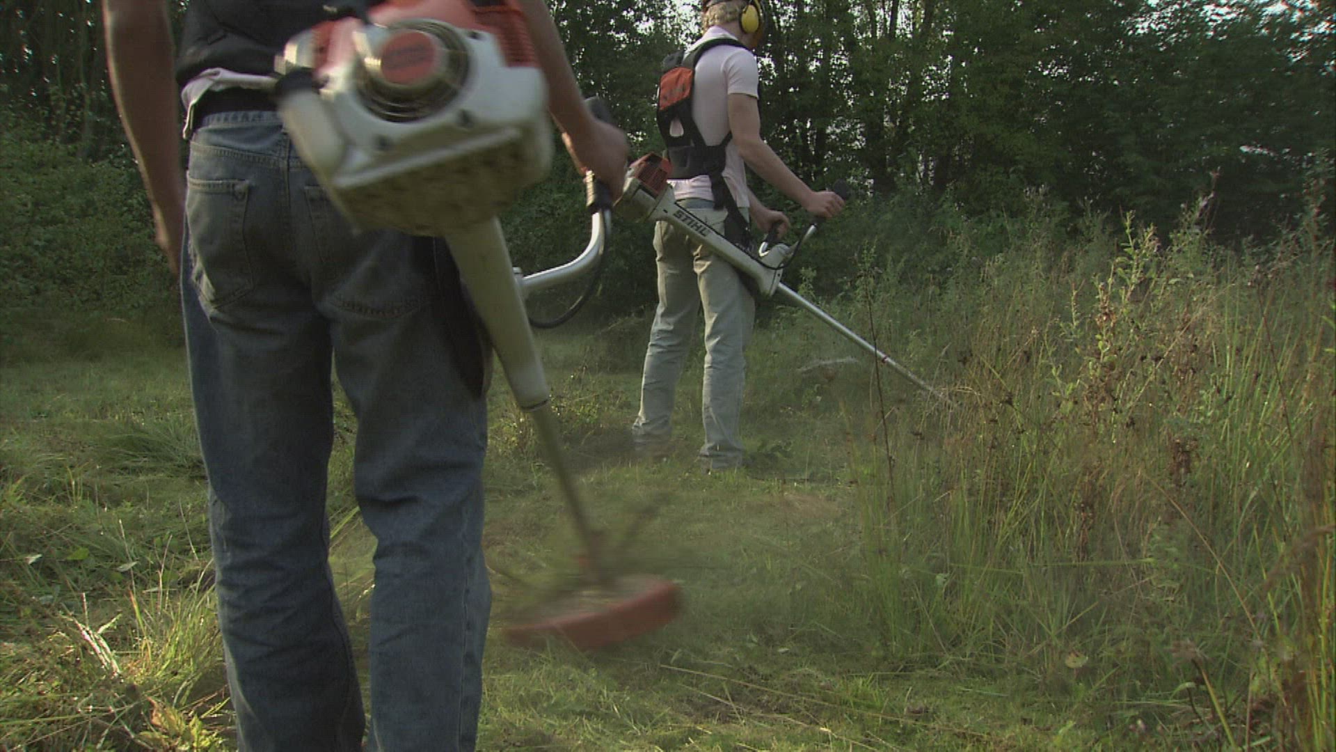 234977437 / Meadow / Mowing / Germany