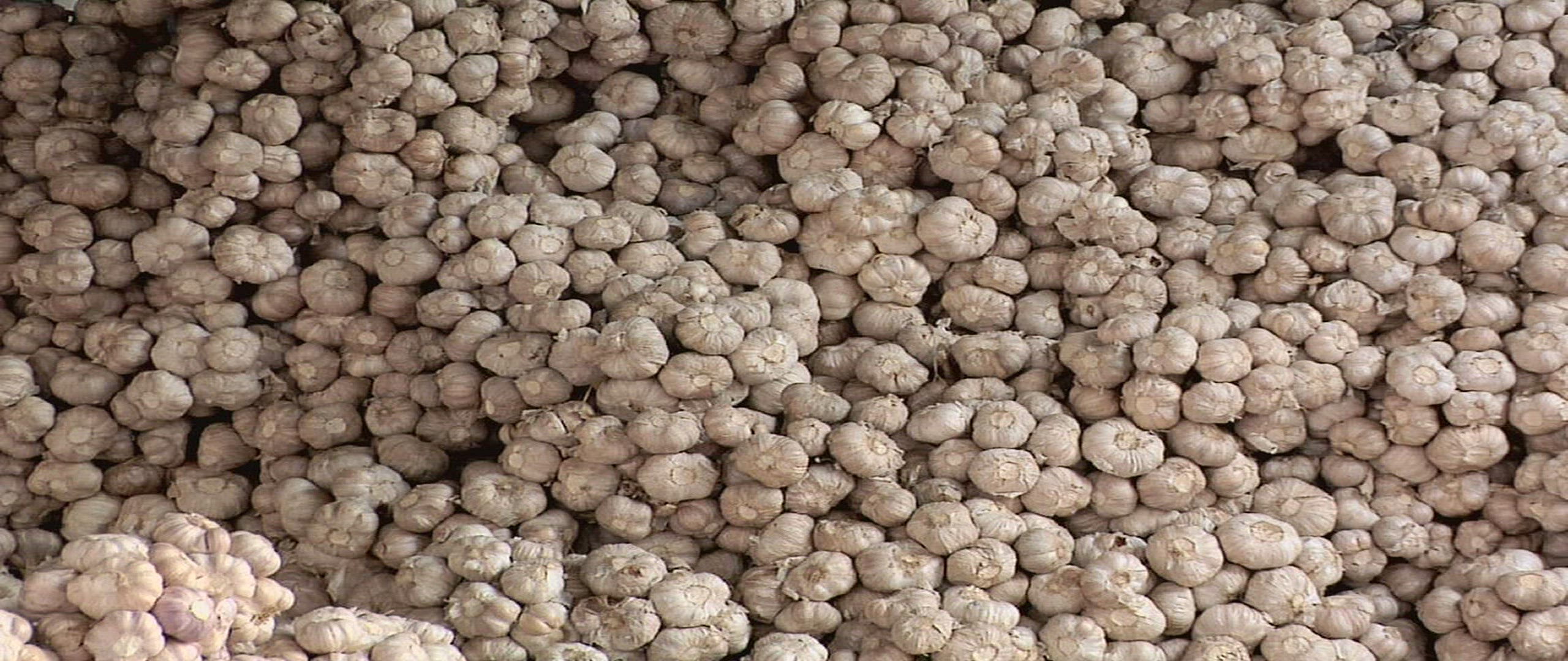294324858 / Market Stand / Market / Thailand