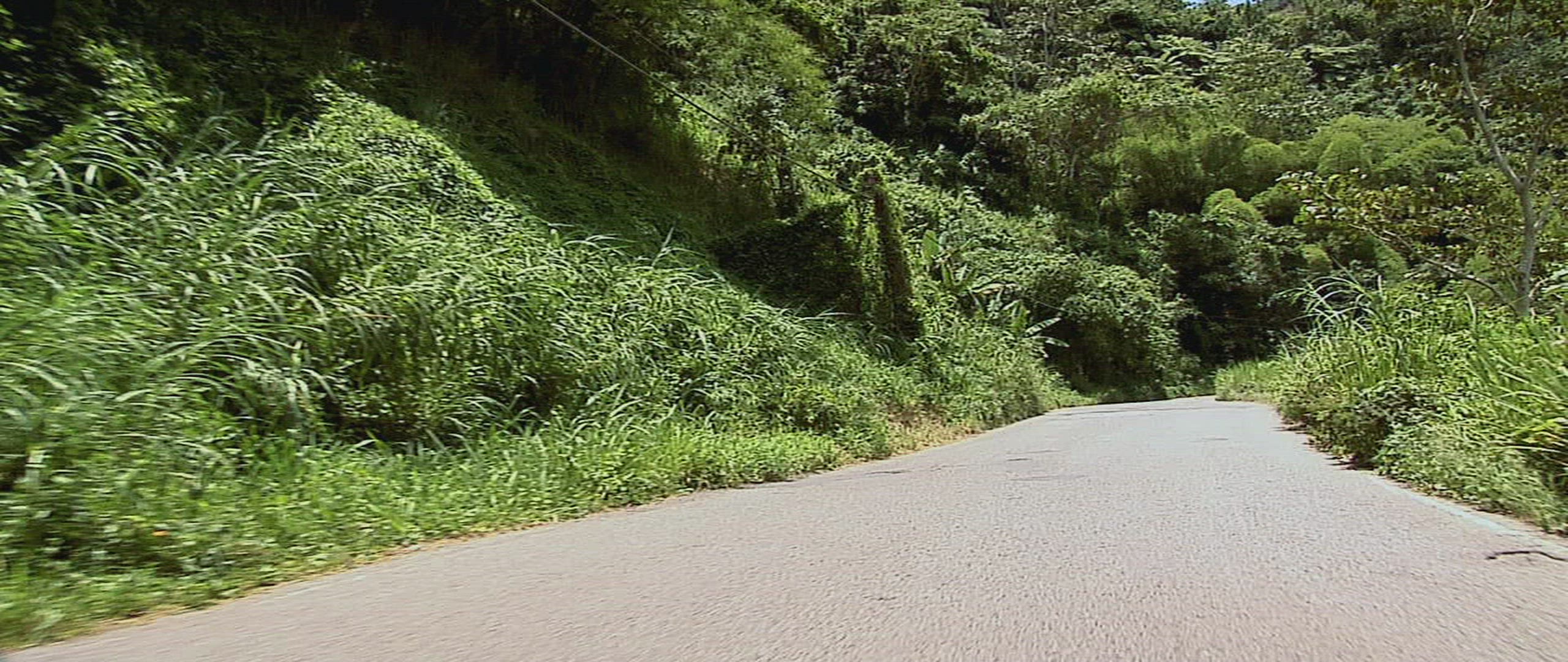208229342 / Mountain Road / Car Ride / USA / POV