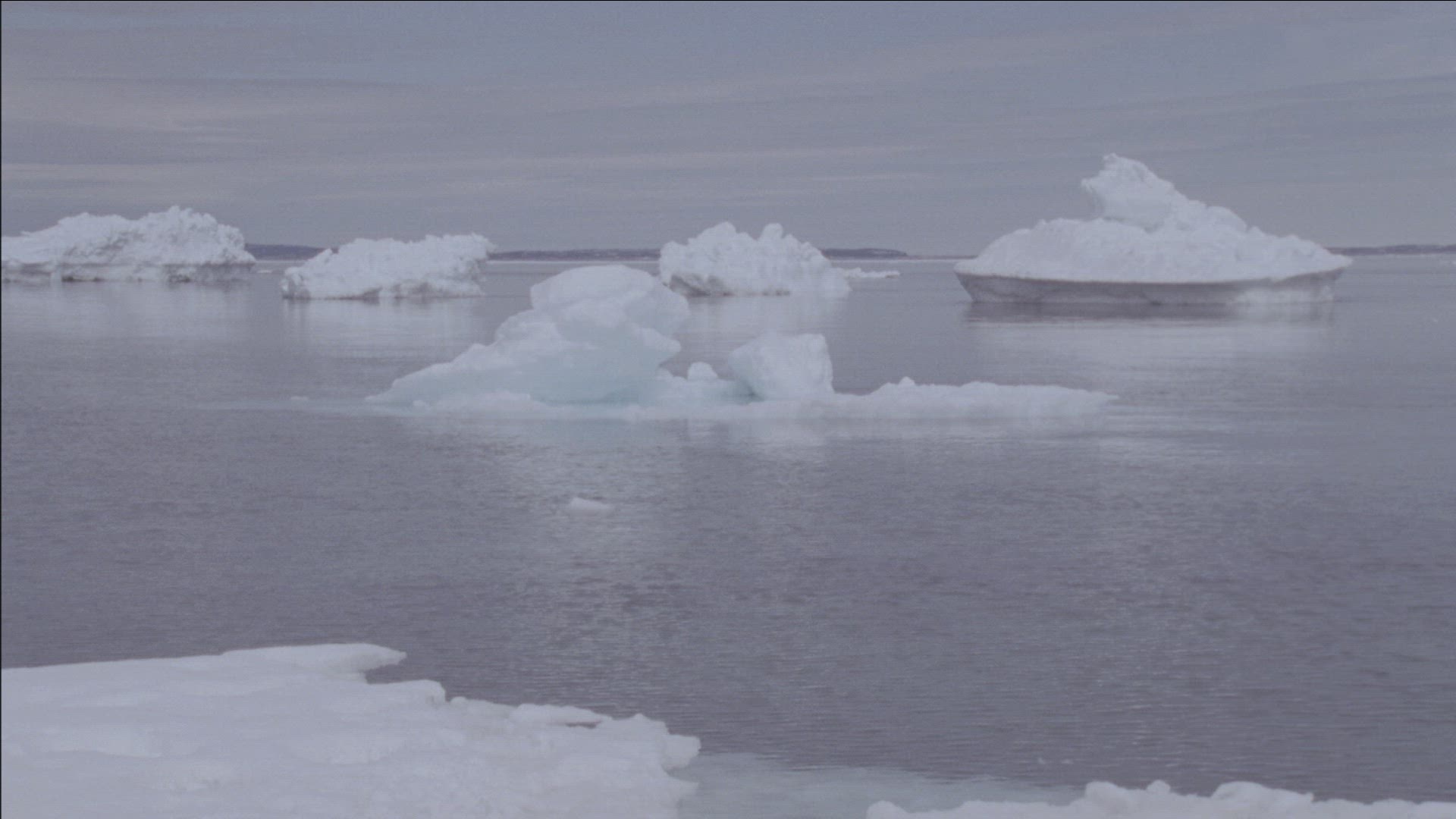 557730809 / Ice-floe / Arctic Ocean / Arctic
