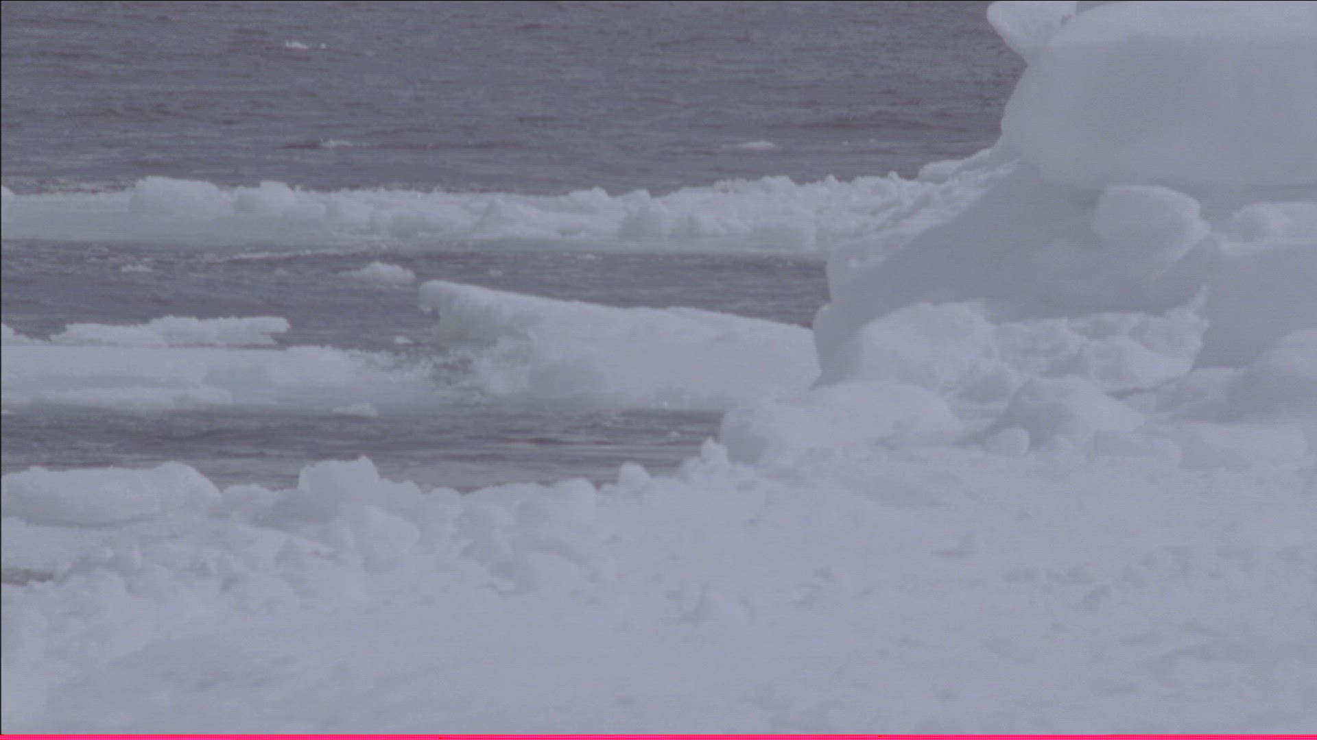 323829050 / Ice-floe / Arctic Ocean / Arctic