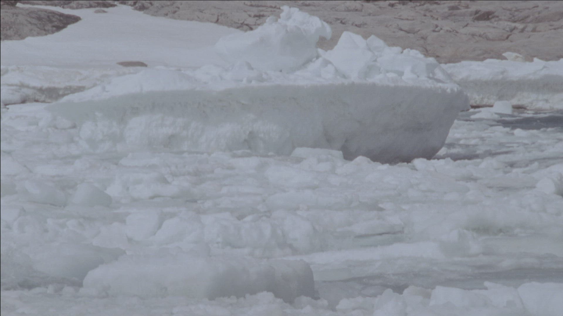 977998544 / Ice-floe / Arctic Ocean / Arctic