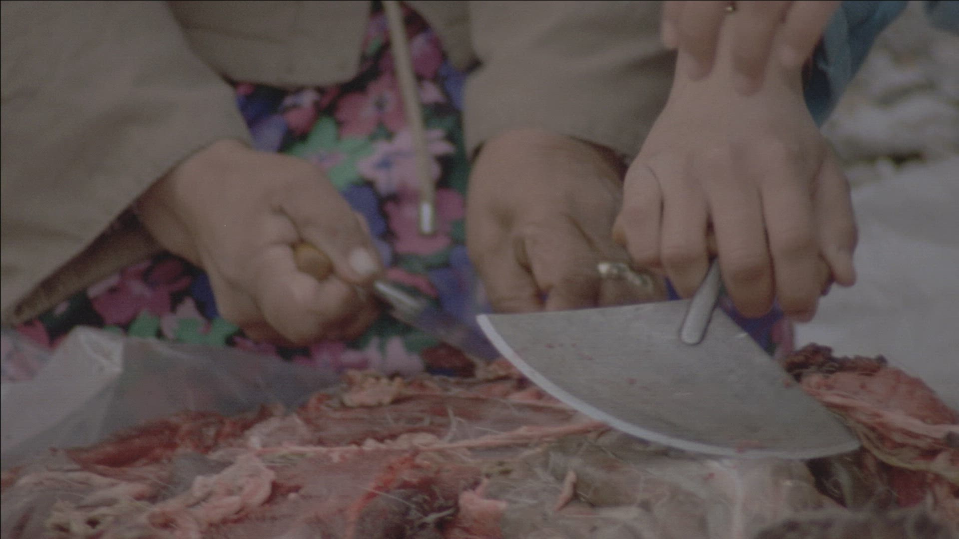 513878350 / Inuit / Meat / Eating / Arctic