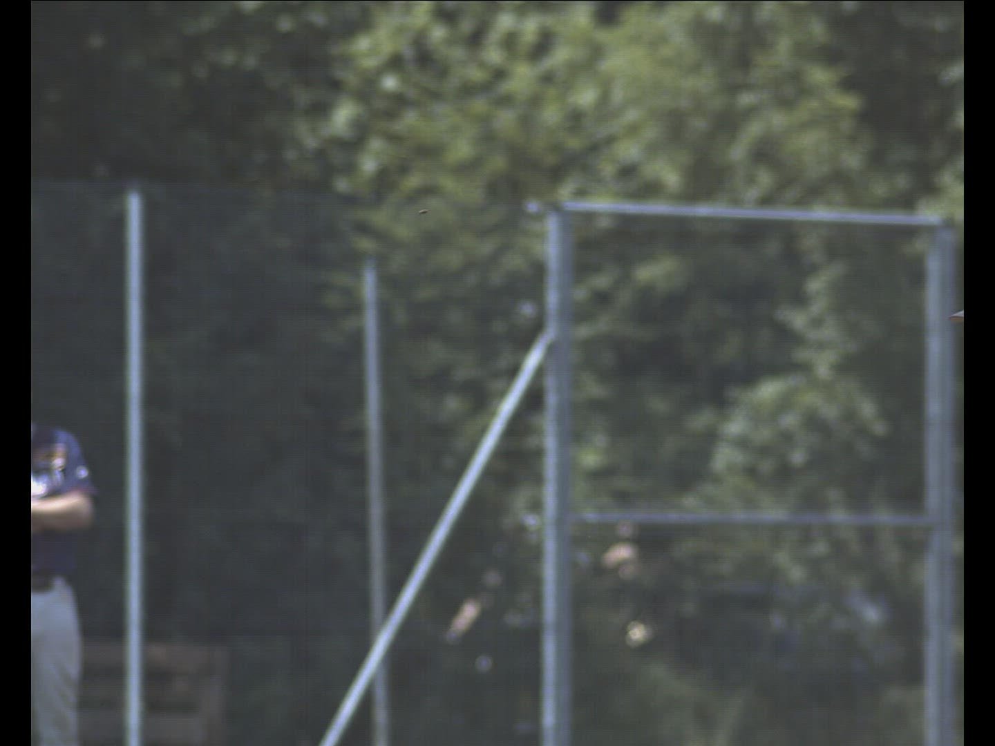 345709564 / Baseball / Germany