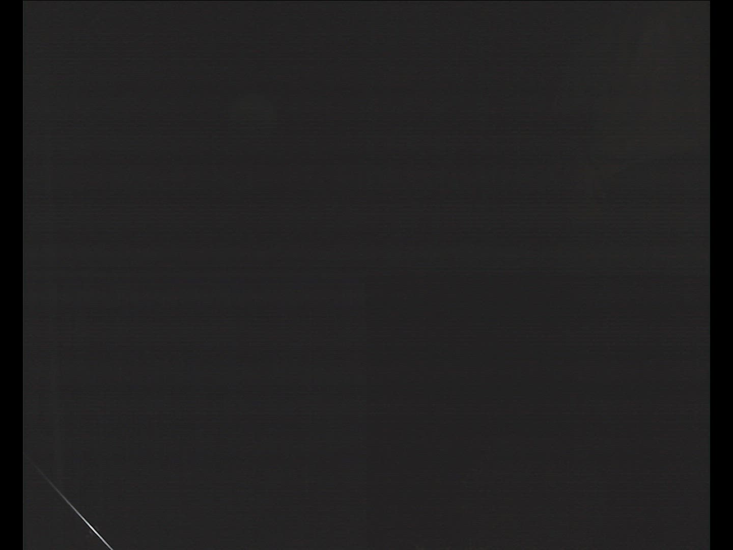 606418987 / Natterer's Bat / Flying