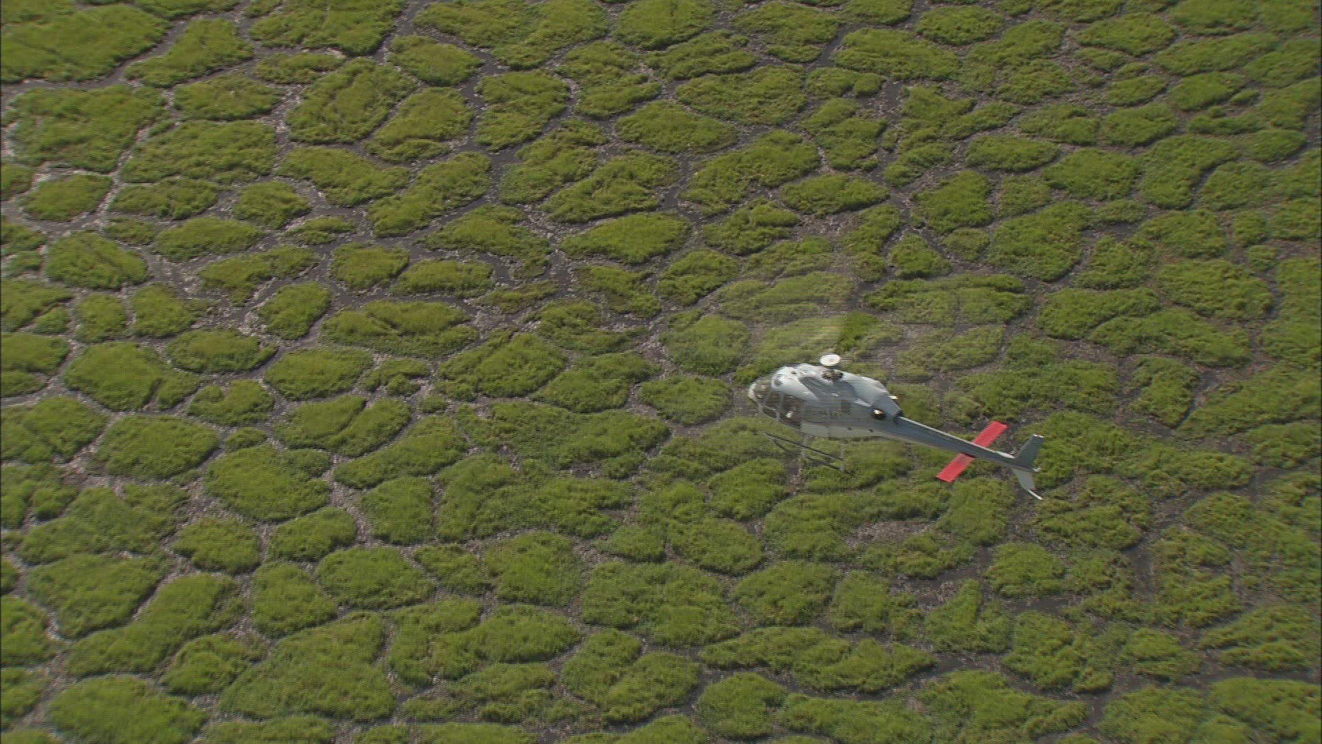 660547992 / Kenya / Air to Air / Aerial