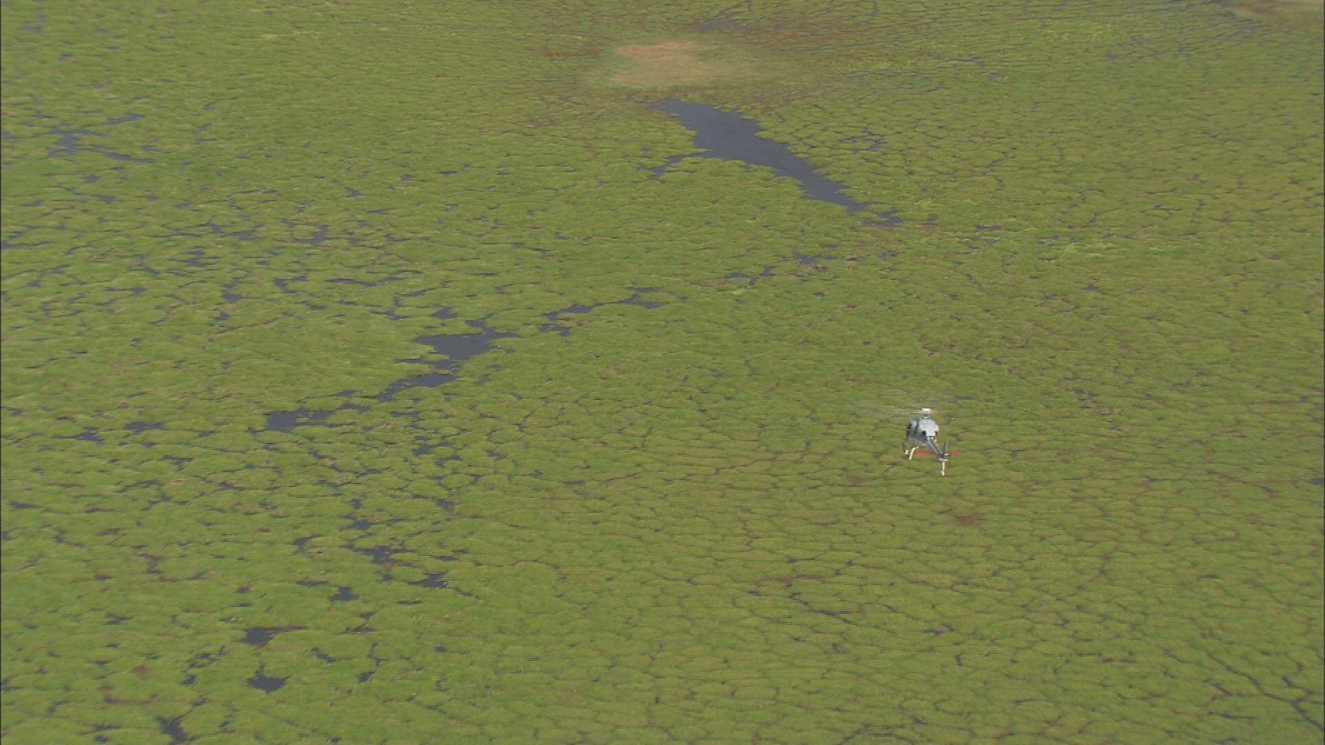 394657167 / Kenya / Air to Air / Aerial