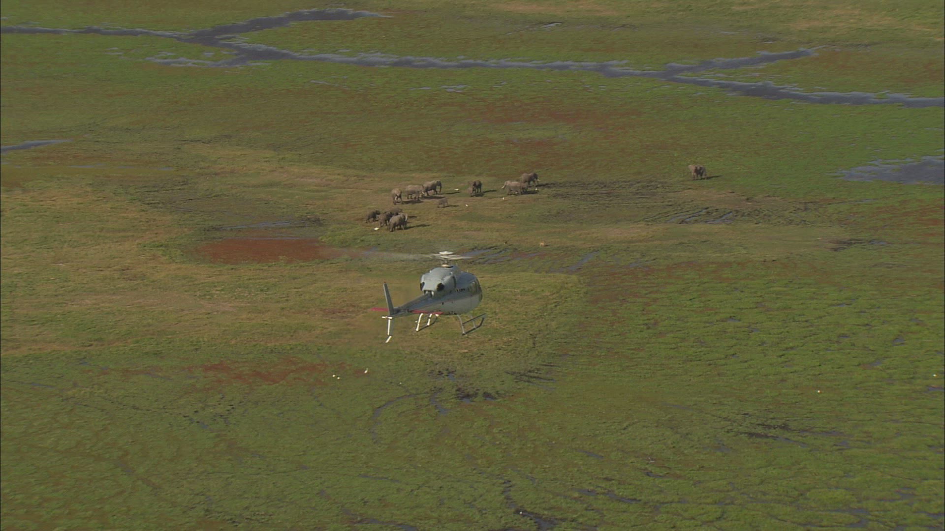 317771421 / Kenya / Air to Air / Aerial