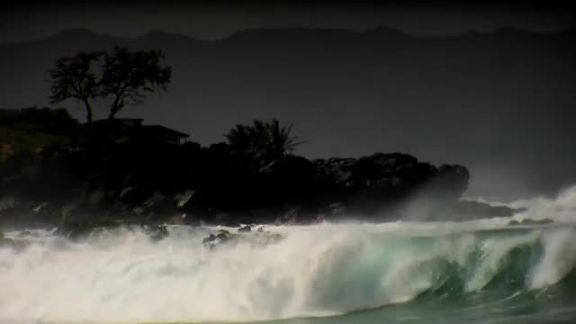 HAWAII BEACH 1