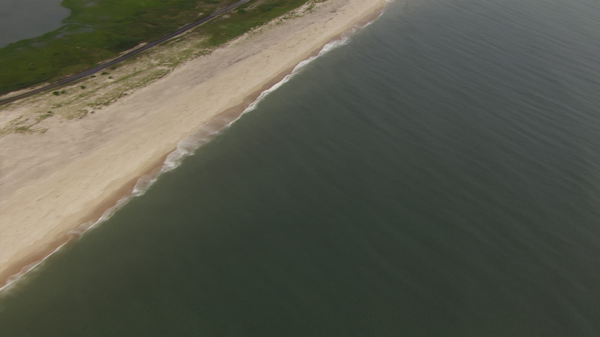 354291663 / Beach / Long Island / New York State / USA / Aerial