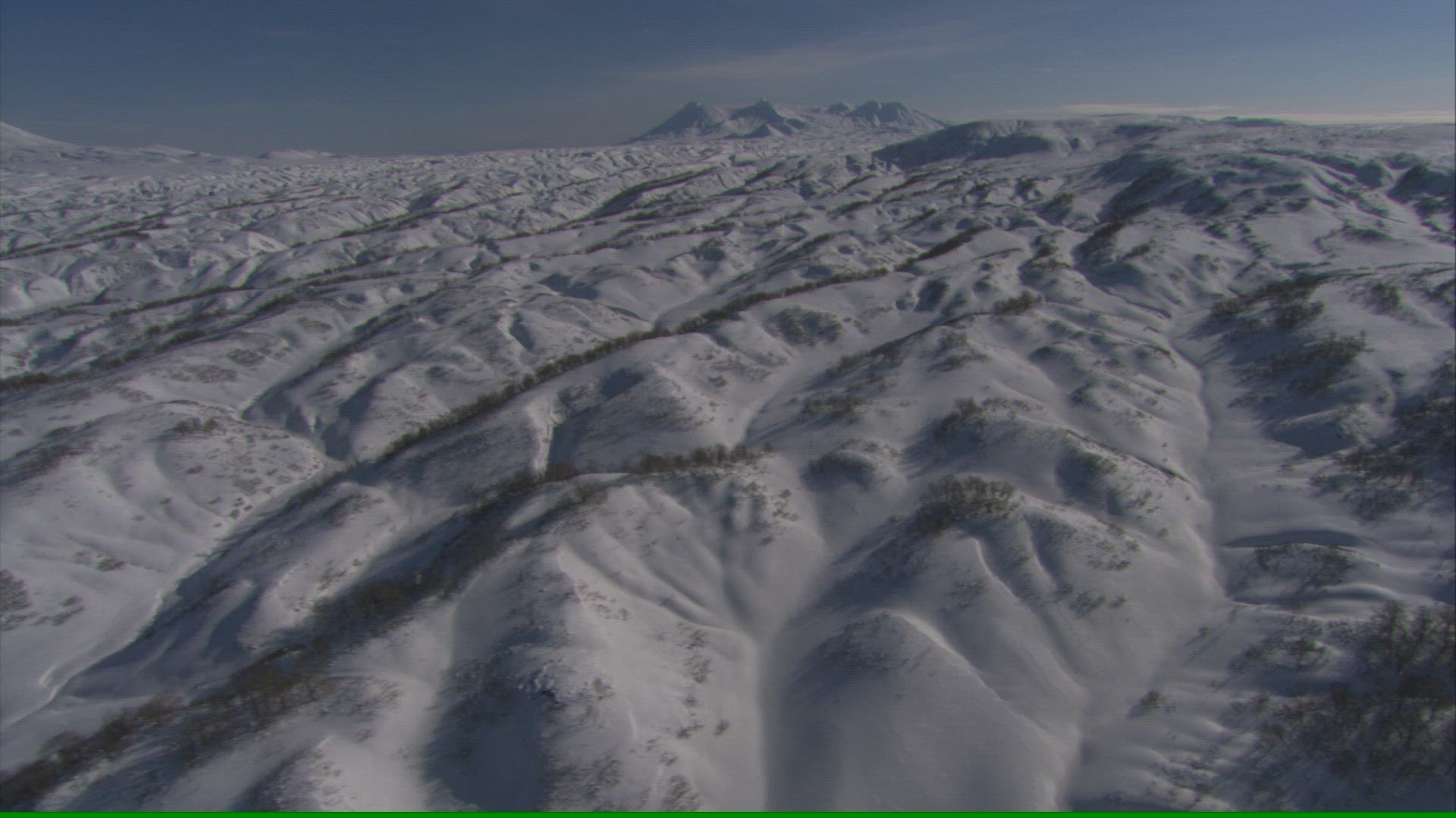 909826130 / Kronotsky Nature Reserve / Kamtchatka / Russia