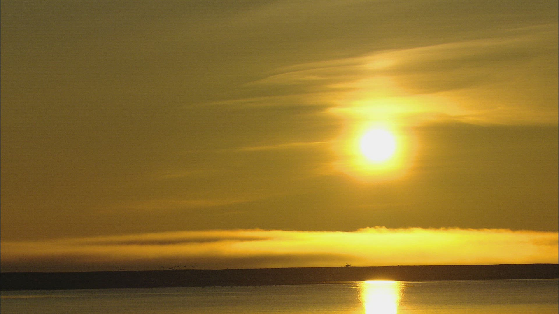 288814666 / Dusk / Wrangel Island / Arctic Ocean