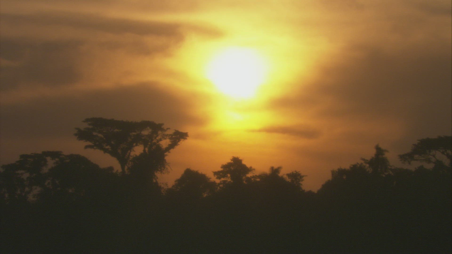 636244303 / Sunset / Rainforest / South America / Timelapse