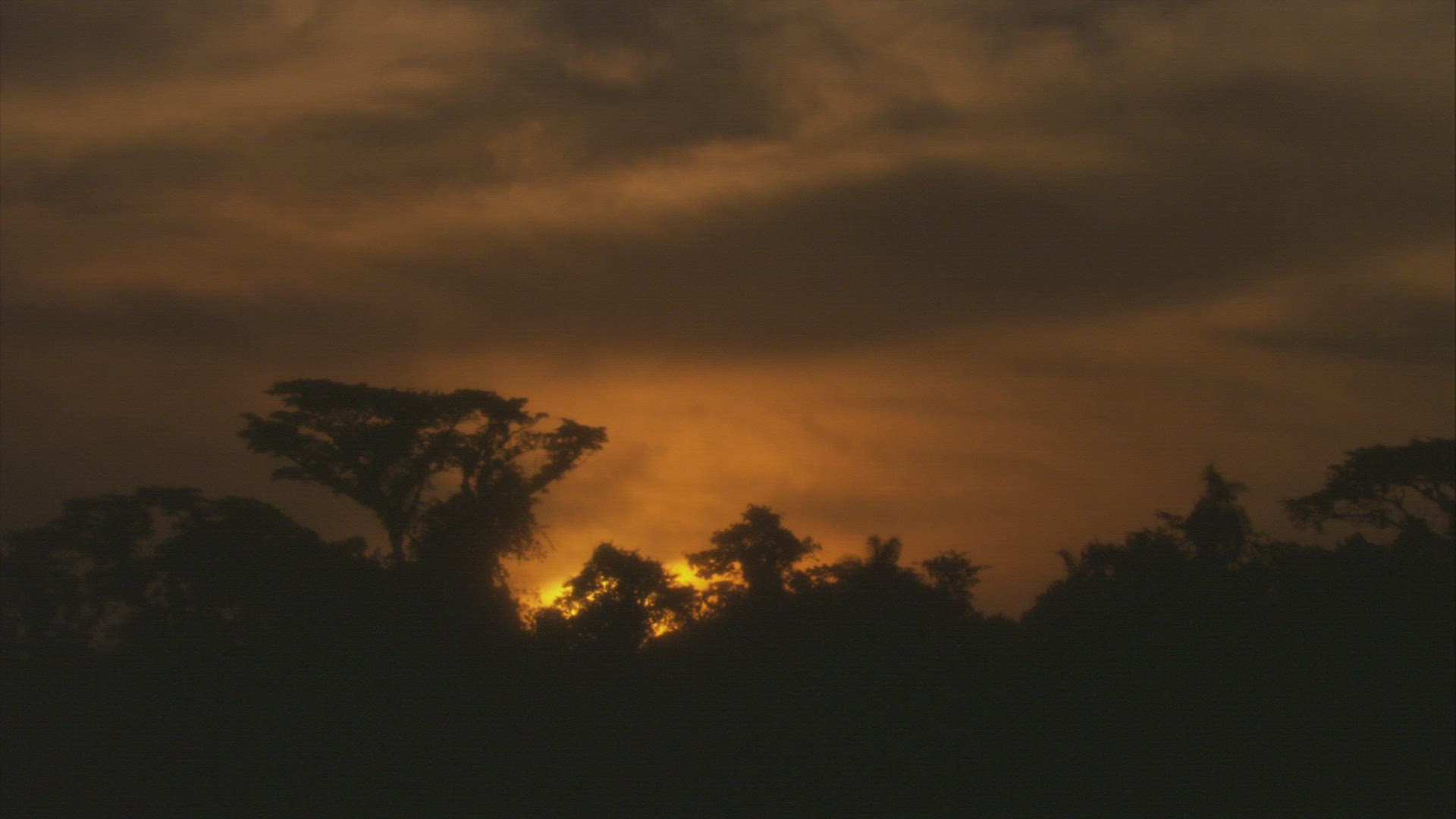 580156146 / Sunset / Rainforest / South America