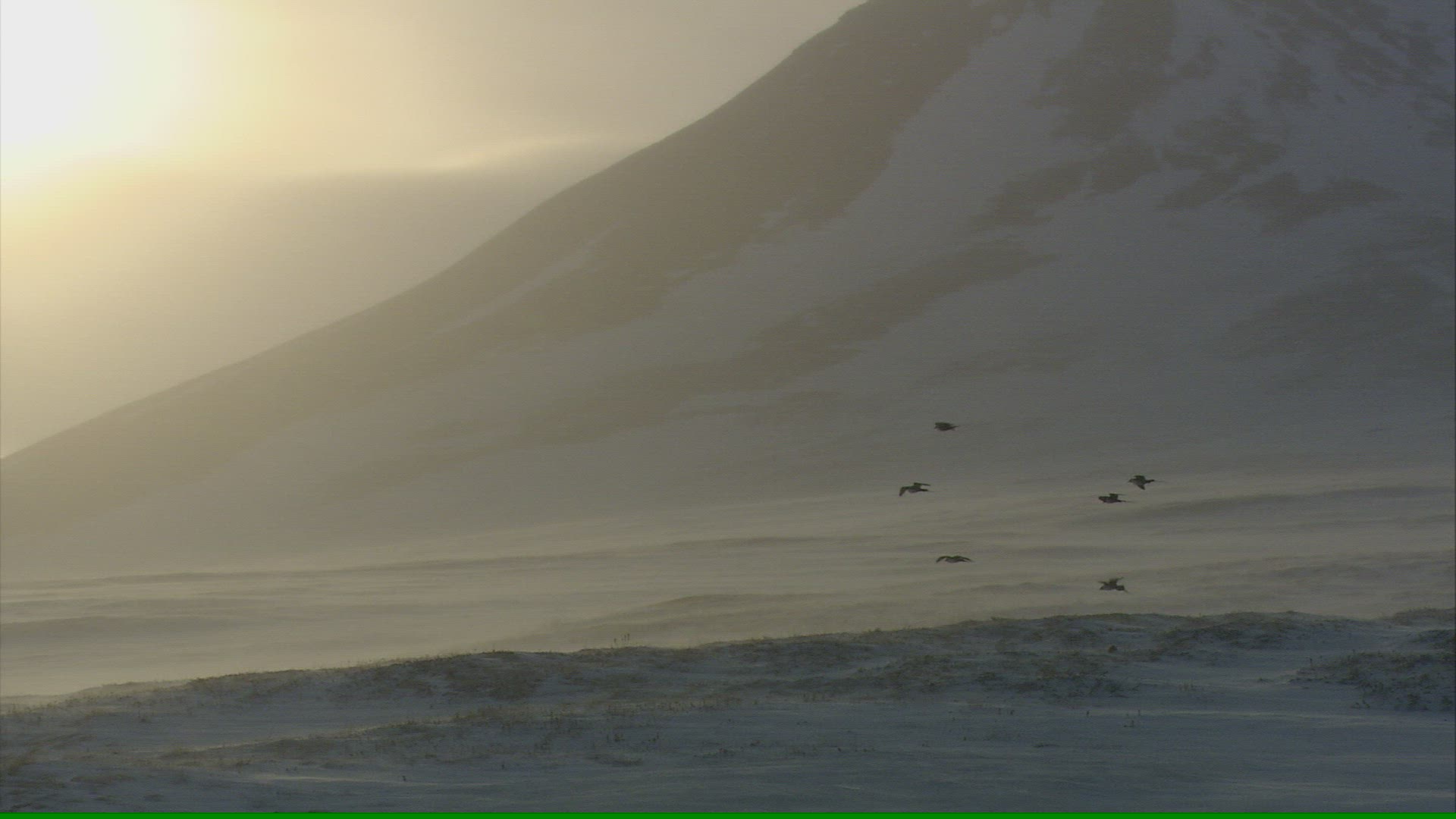 494524853 / Snowscape / Atmospheric / Arctic