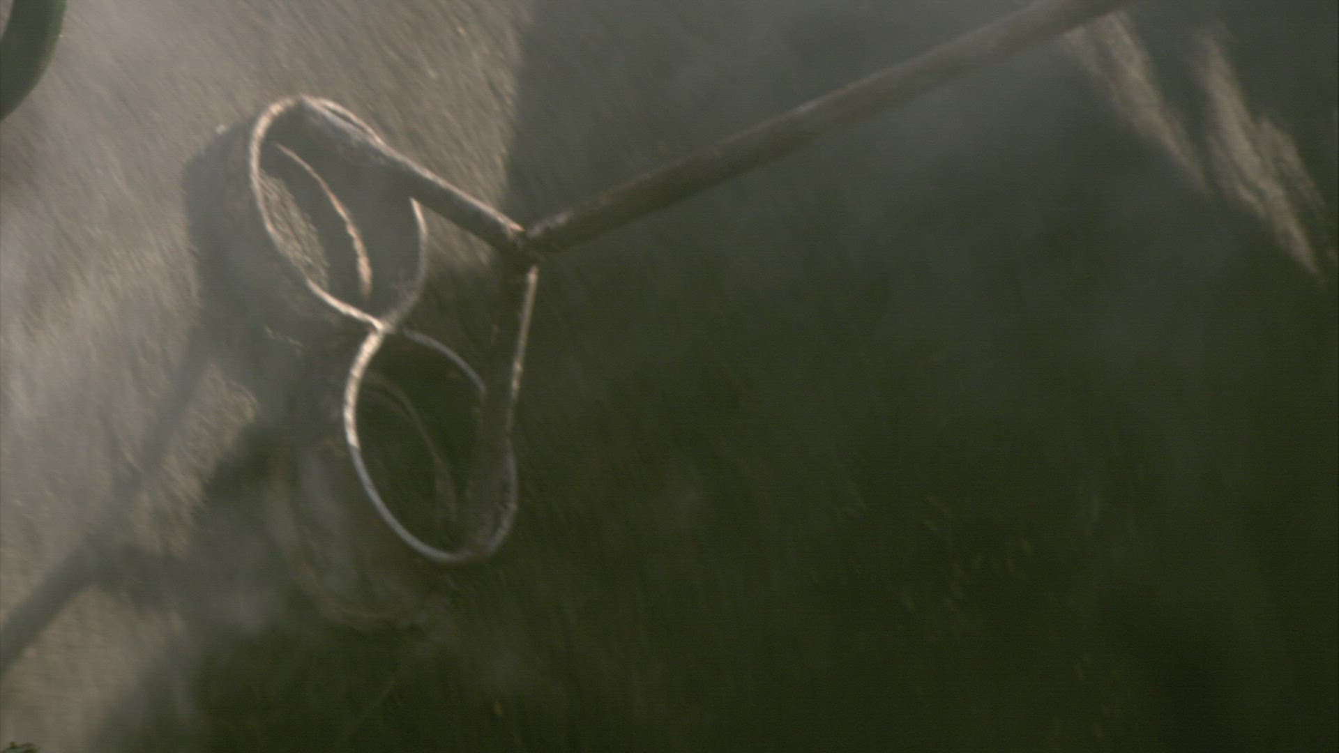 839435544 / Bull / Branding / Andalusia / Spain