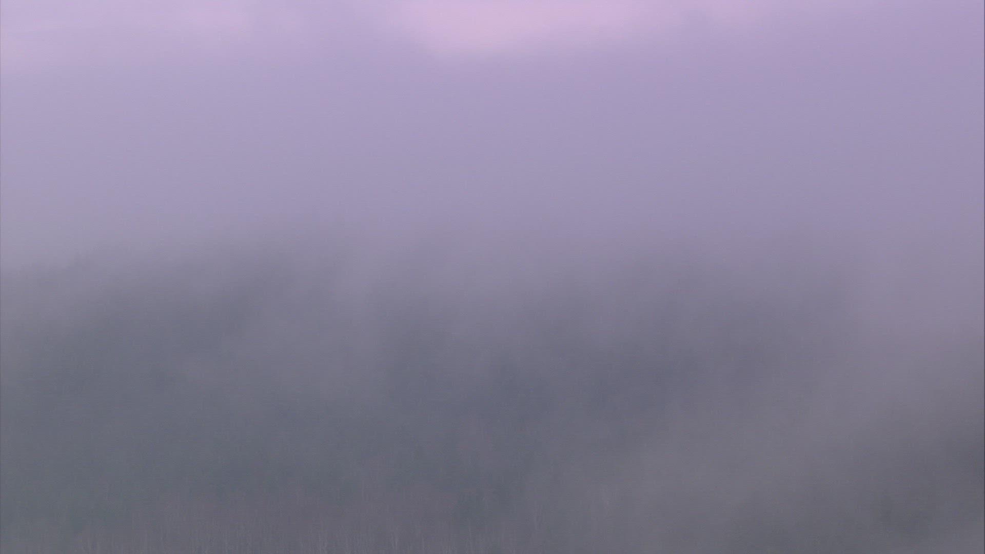 546241341 / Fog / Ural Mountains / Russia / Timelapse