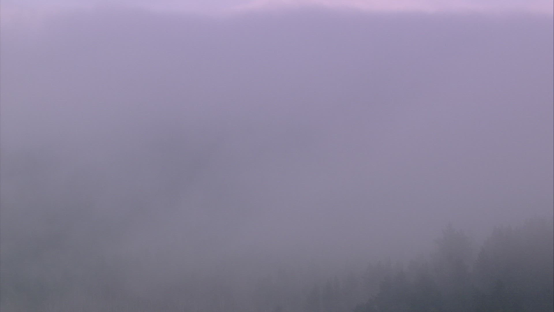 999272191 / Fog / Ural Mountains / Russia / Timelapse
