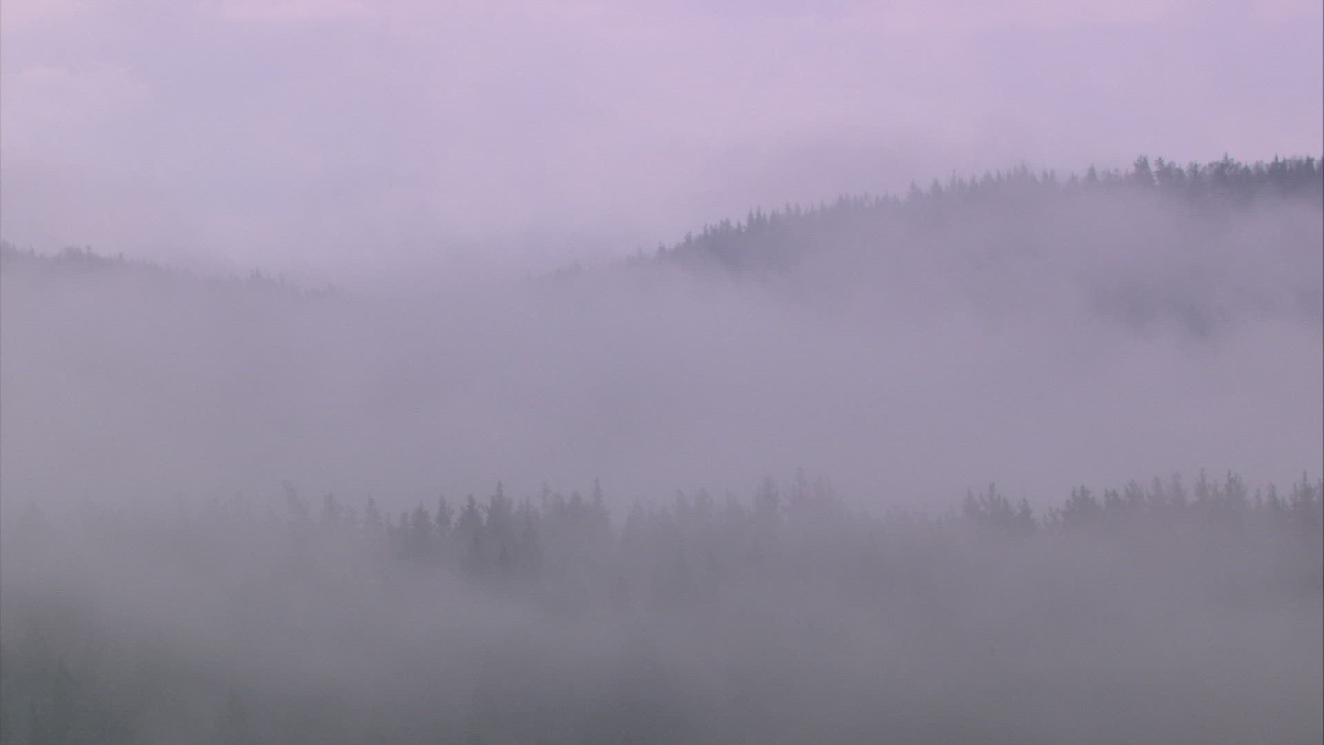 466699326 / Fog / Ural Mountains / Russia / Timelapse
