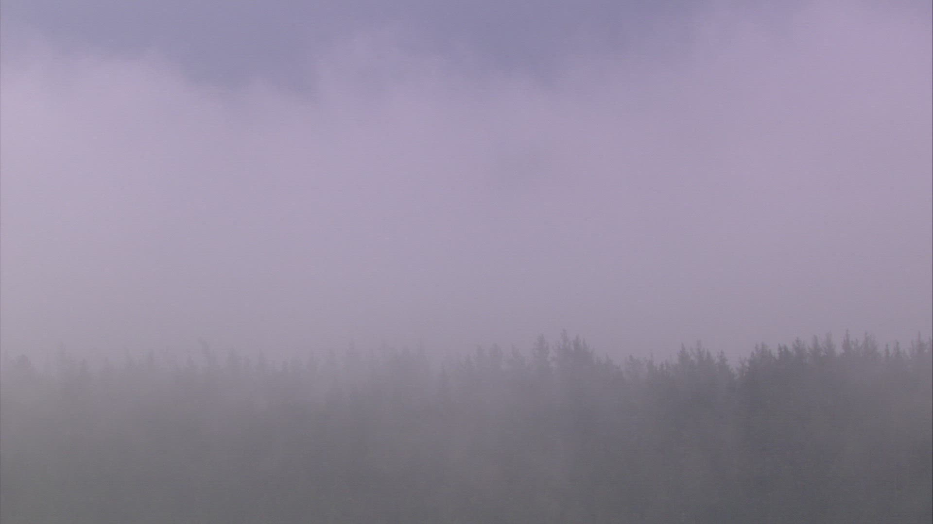 188351874 / Fog / Ural Mountains / Russia / Timelapse