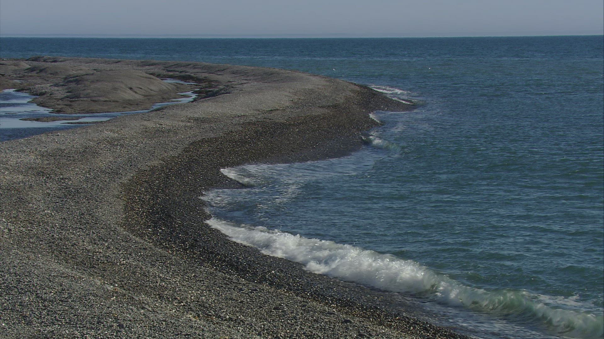 532410098 / Gravel Bank / Atlantic Ocean / Arctic