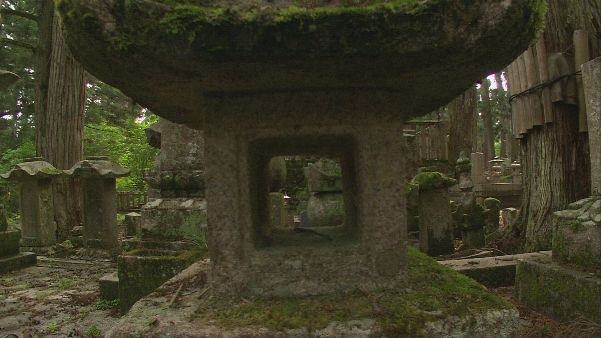 886840679 / Gravestone / Oku-no-in / Koya-san / Japan