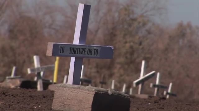 Crosses mark graves of people who are not forgotten.