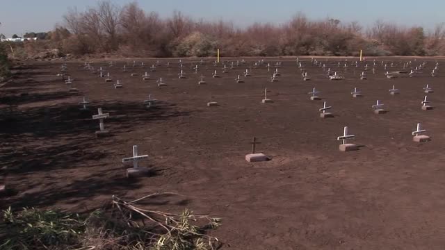 Graves are marked with small white crosses.