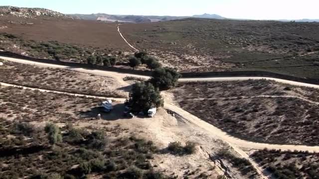 Motorhomes are parked under trees in a remote area.