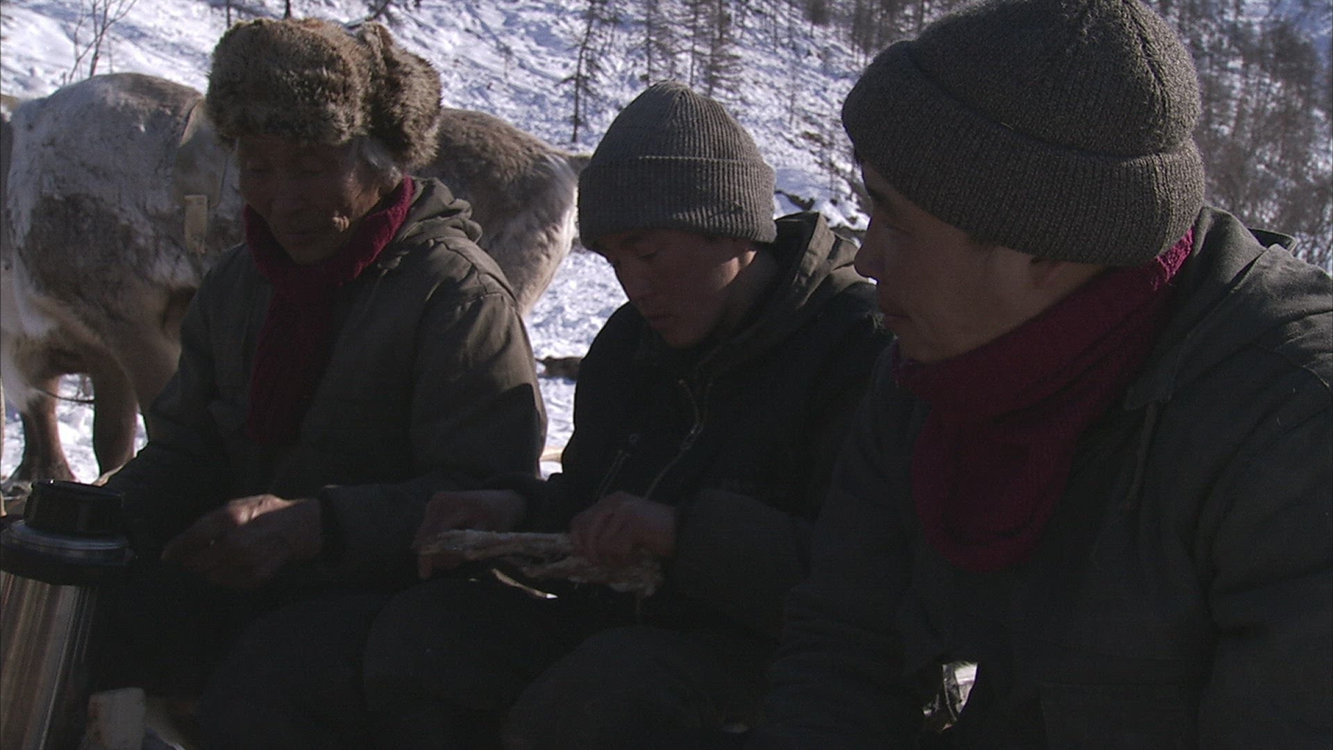 943219570 / Nomad / Eating / Siberia / Russia