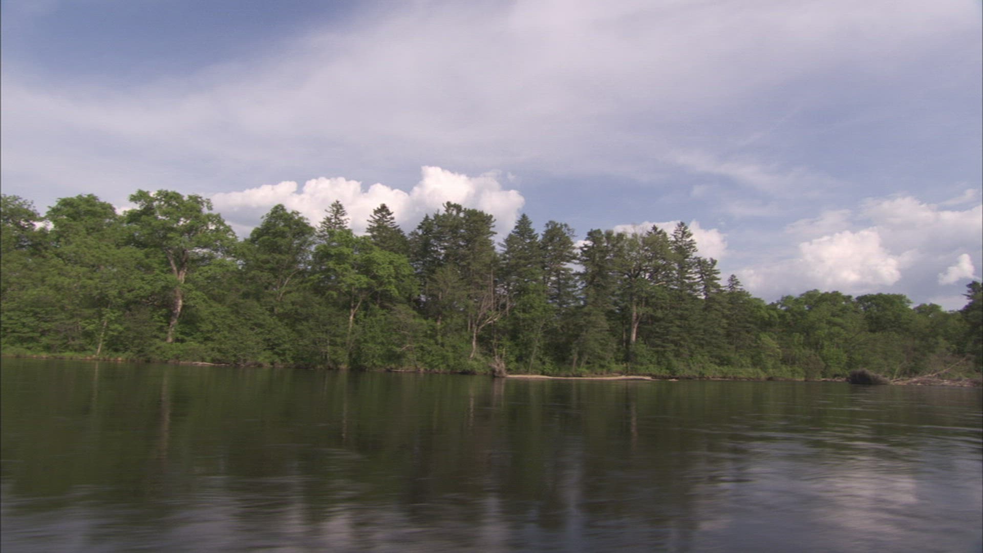 191657453 / River / Forest / Ussuri / Russia