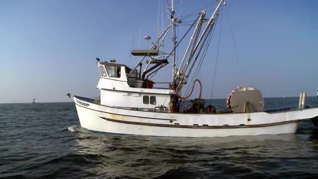 A man moves around the deck of a boat, and a bird flies by.