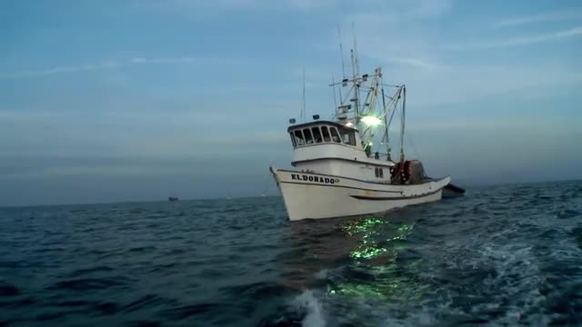 A boat travels through the water.