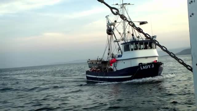 A boat is heading toward the shore.