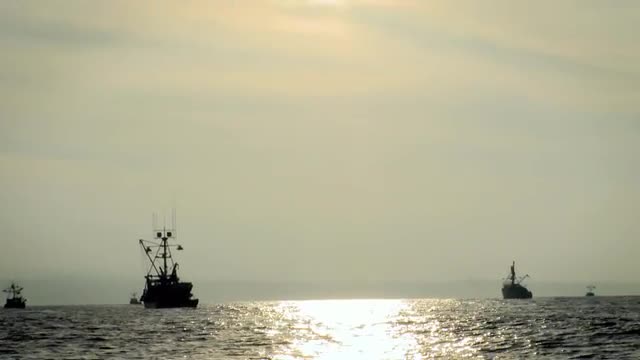 Boats move through the water as the sun starts to set.