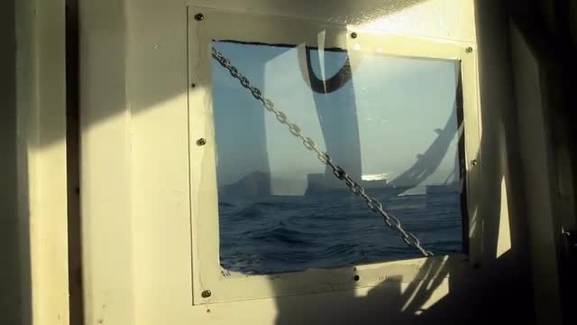 An island is viewed through a boat window.