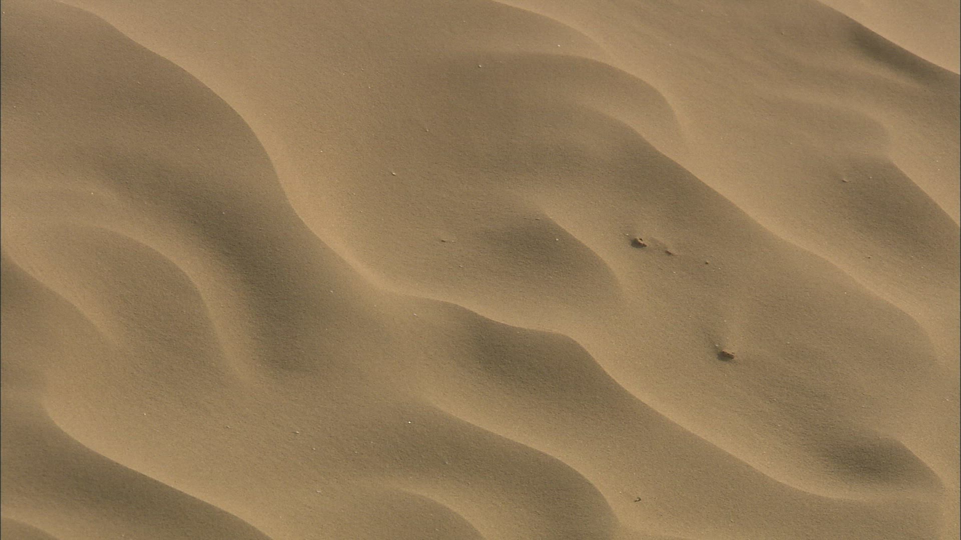 304251596 / Sand / Dune / Caucasus / Russia