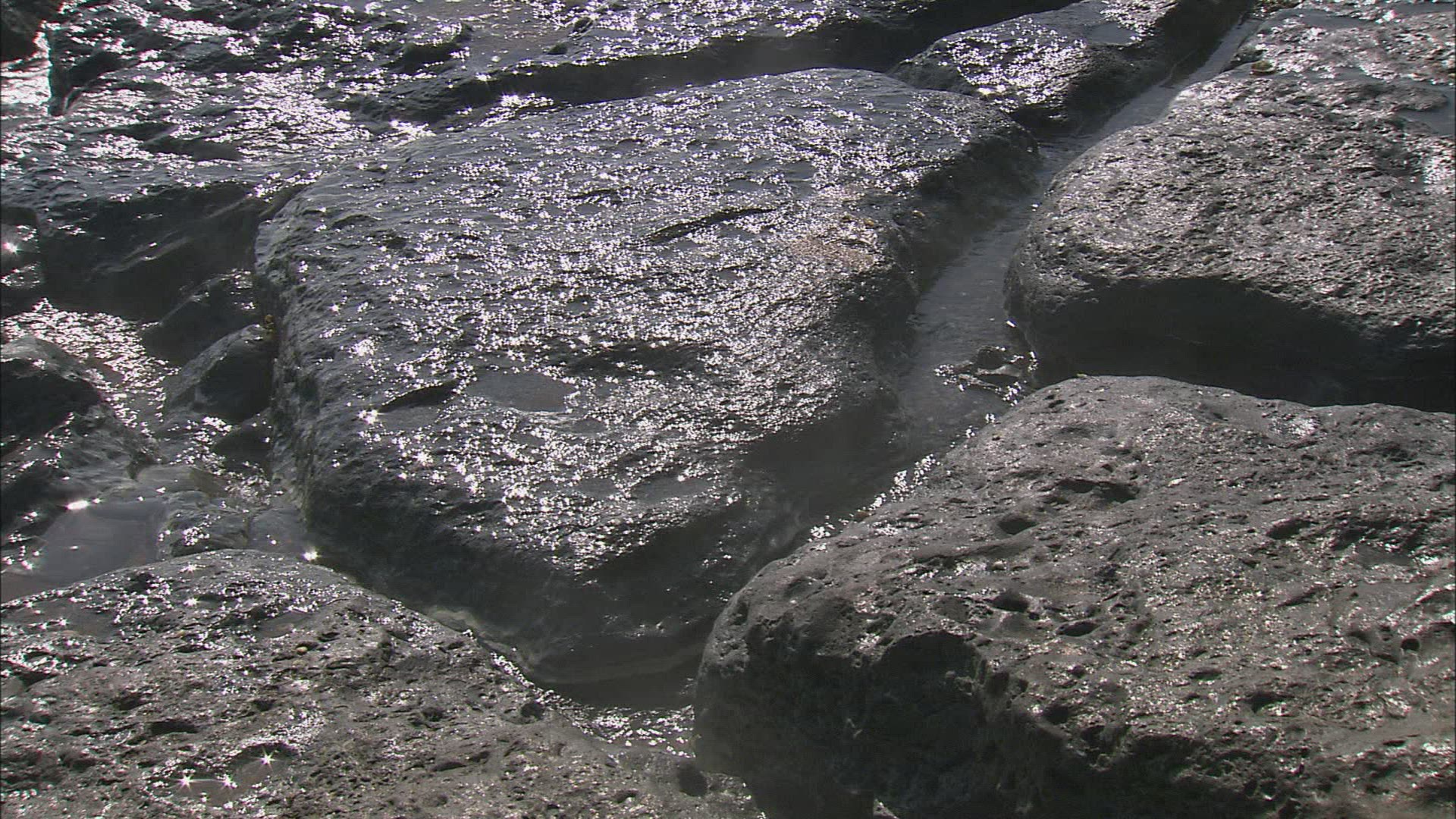 473884769 / Hot Spring / Caspian Sea / Caucasus / Russia