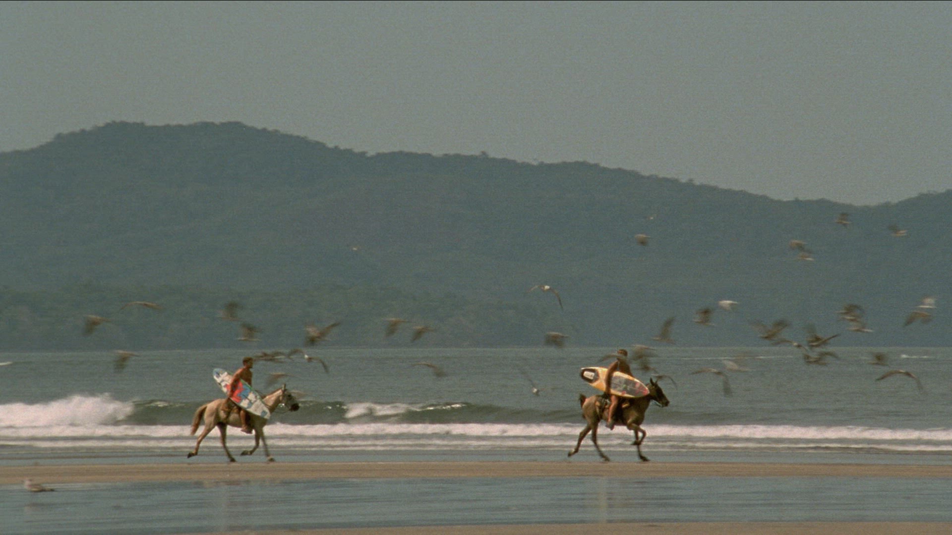 391663765 / Wave Riding / Extreme Sport